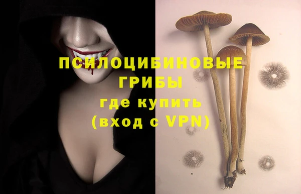 2c-b Липки
