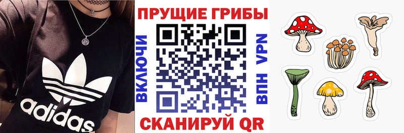 Галлюциногенные грибы ЛСД  где можно купить наркотик  Серпухов 